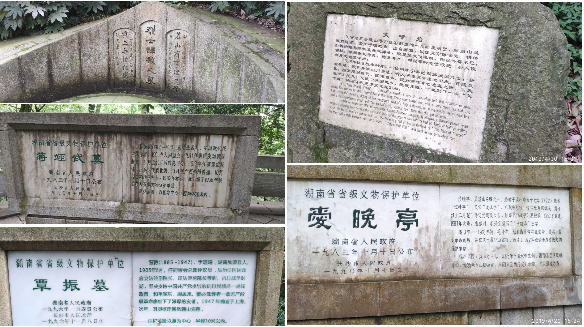 黄色直播